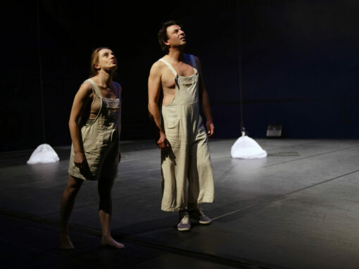 Cie Lézards Bleus - Antoine Le Menestrel_DESCENSIONS_Mougins_bouffon©Nathalie Sternalski