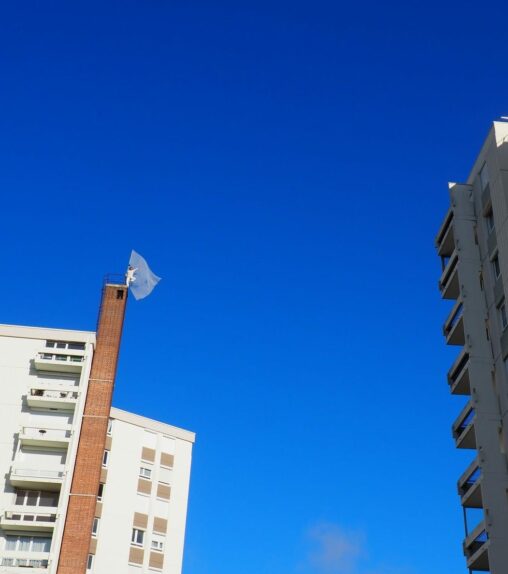 Cie Lézards Bleus-Antoine Le Menestrel_Paisible 2020_Caen©Ophélie Brunet