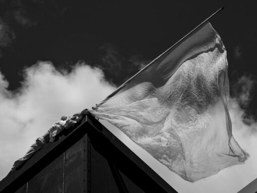 Cie Lézards Bleus-Antoine Le Menestrel_Paisible_Alès©misaato