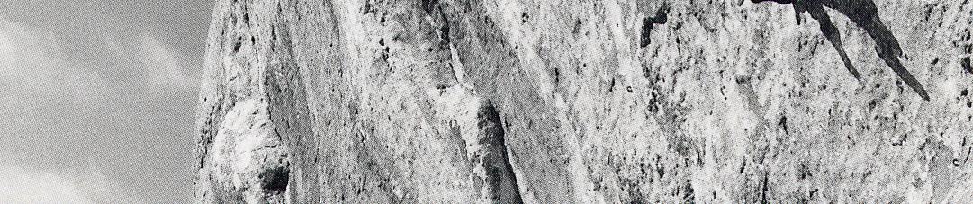 Cie Lézards Bleus_La rose et le vampire_avec ombre lézards©Patrick Seguin